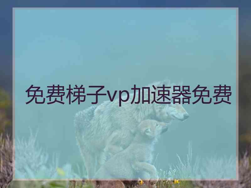 免费梯子vp加速器免费