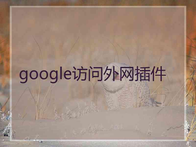 google访问外网插件