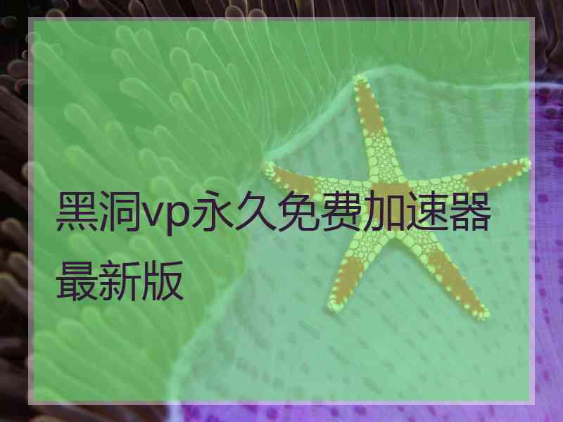 黑洞vp永久免费加速器最新版