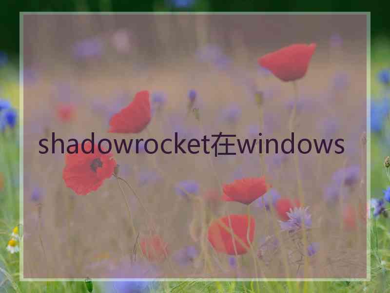 shadowrocket在windows