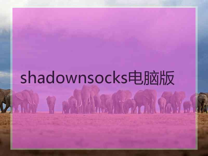 shadownsocks电脑版