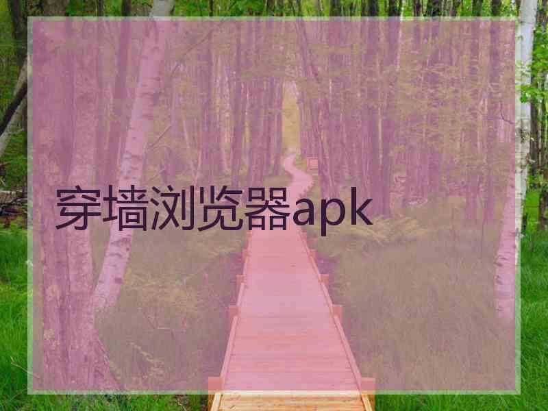 穿墙浏览器apk