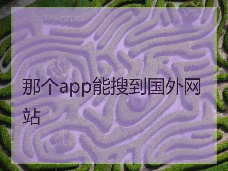 那个app能搜到国外网站