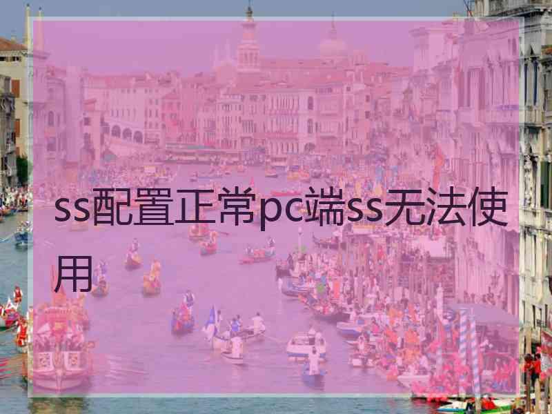 ss配置正常pc端ss无法使用