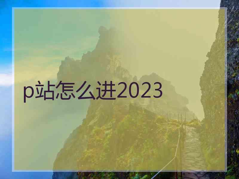 p站怎么进2023