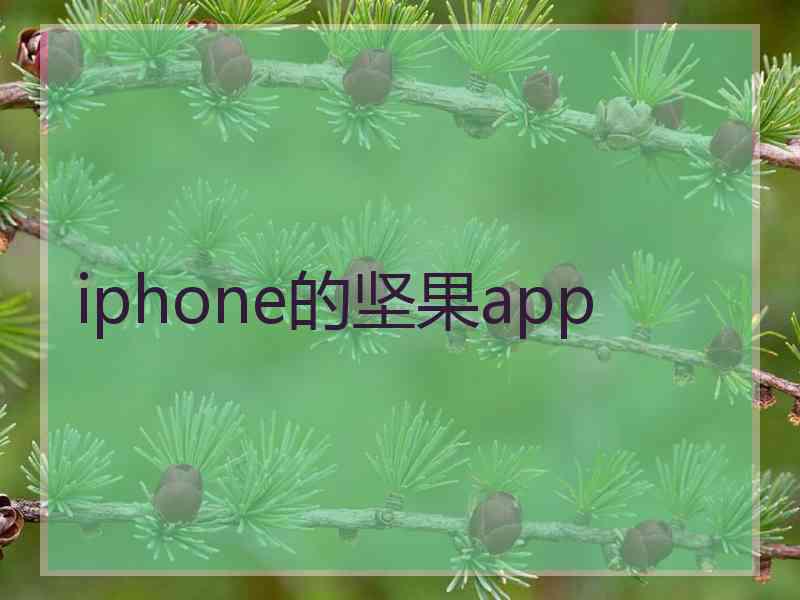 iphone的坚果app