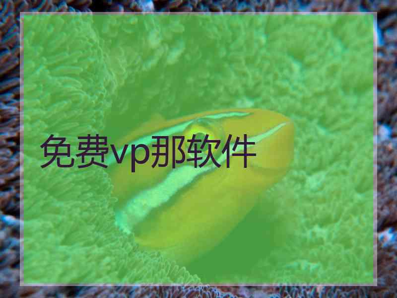 免费vp那软件