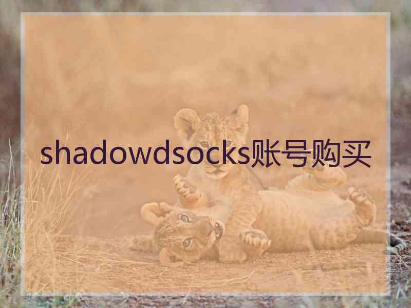 shadowdsocks账号购买