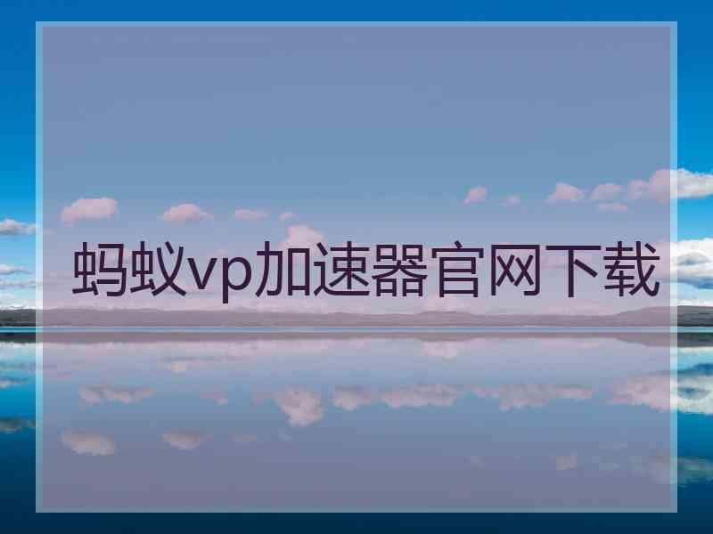 蚂蚁vp加速器官网下载