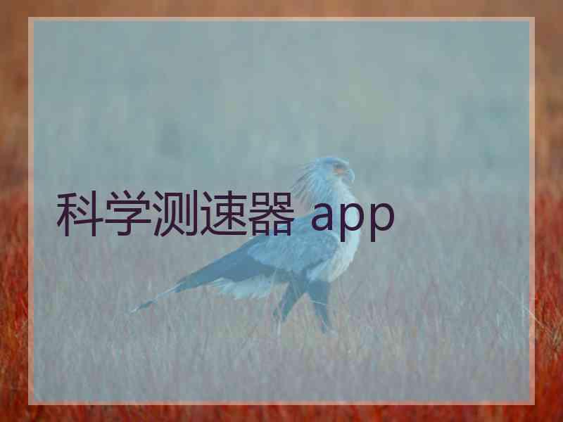 科学测速器 app