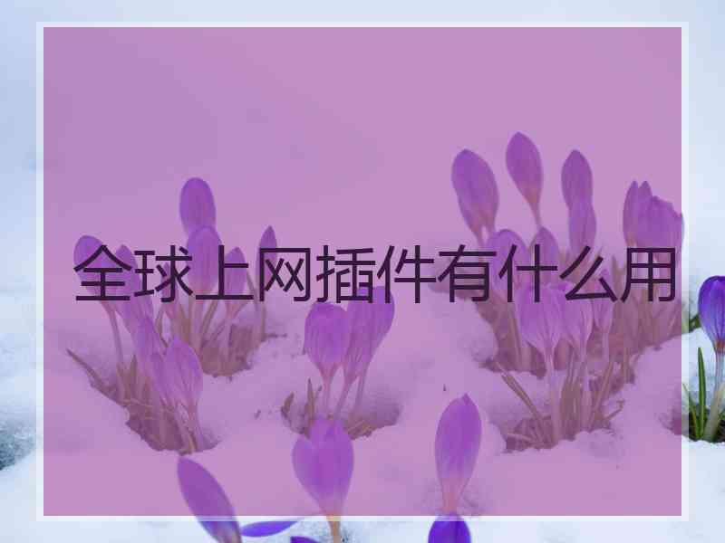 全球上网插件有什么用