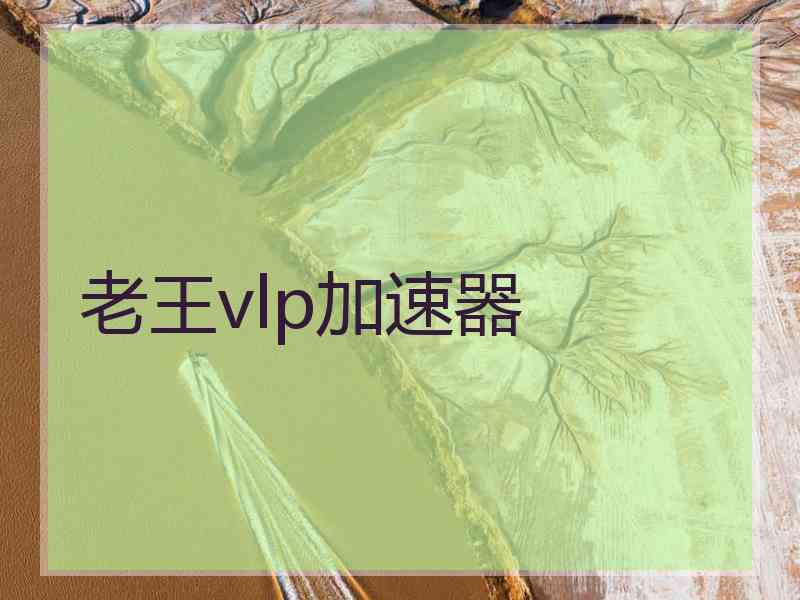 老王vlp加速器