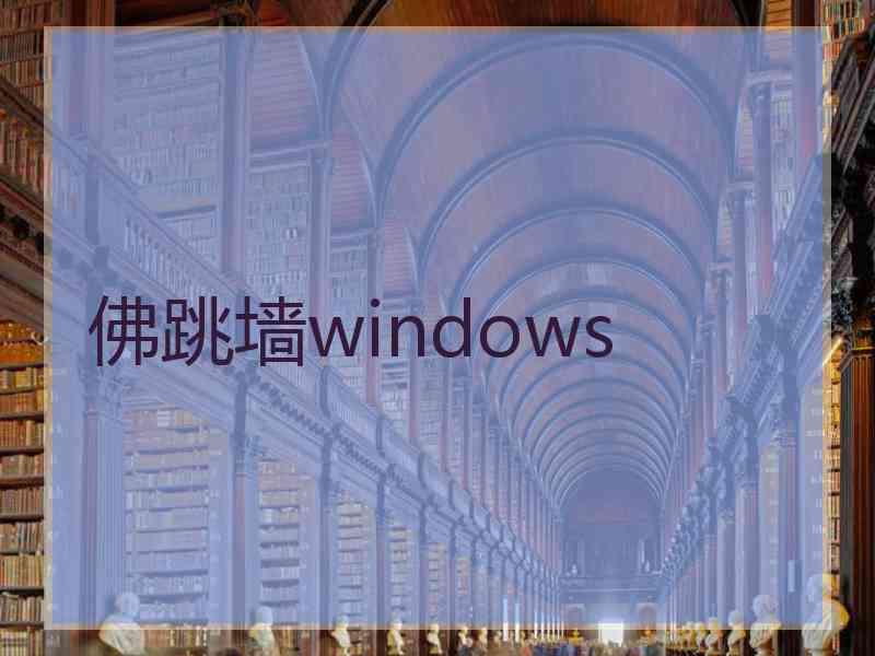 佛跳墙windows