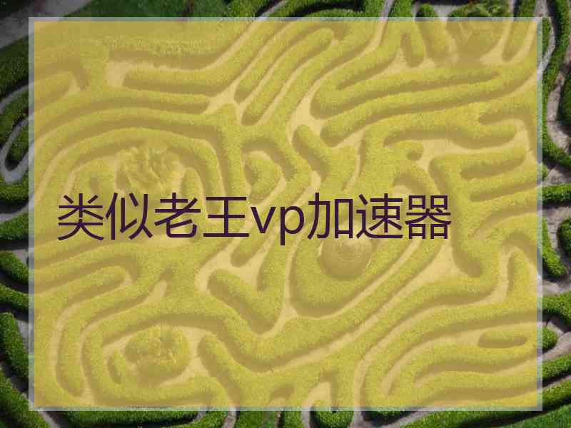 类似老王vp加速器