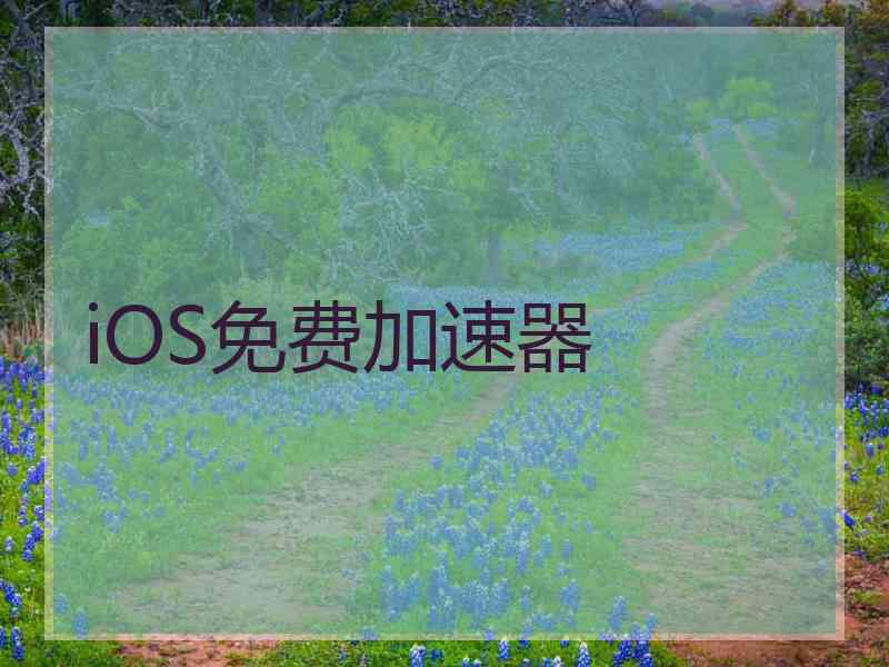 iOS免费加速器