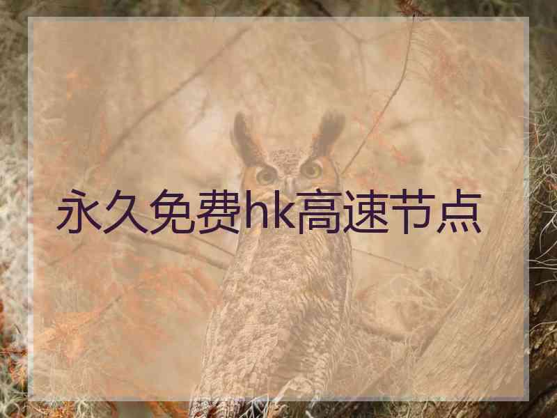 永久免费hk高速节点