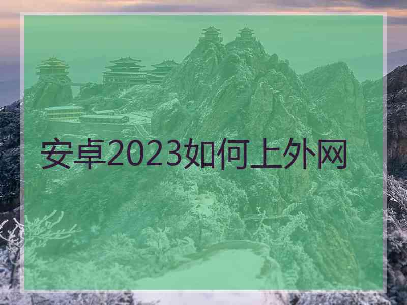 安卓2023如何上外网