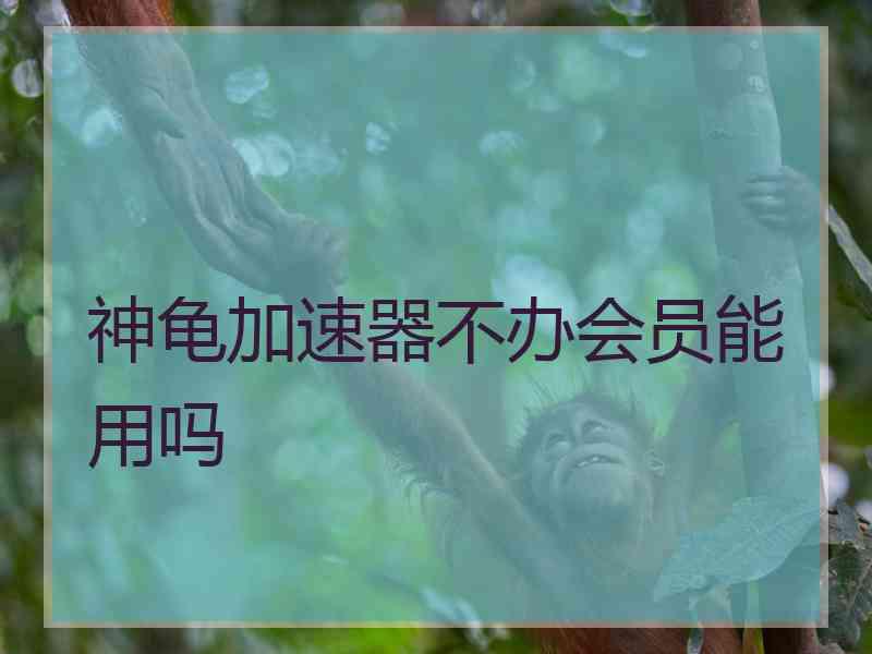 神龟加速器不办会员能用吗