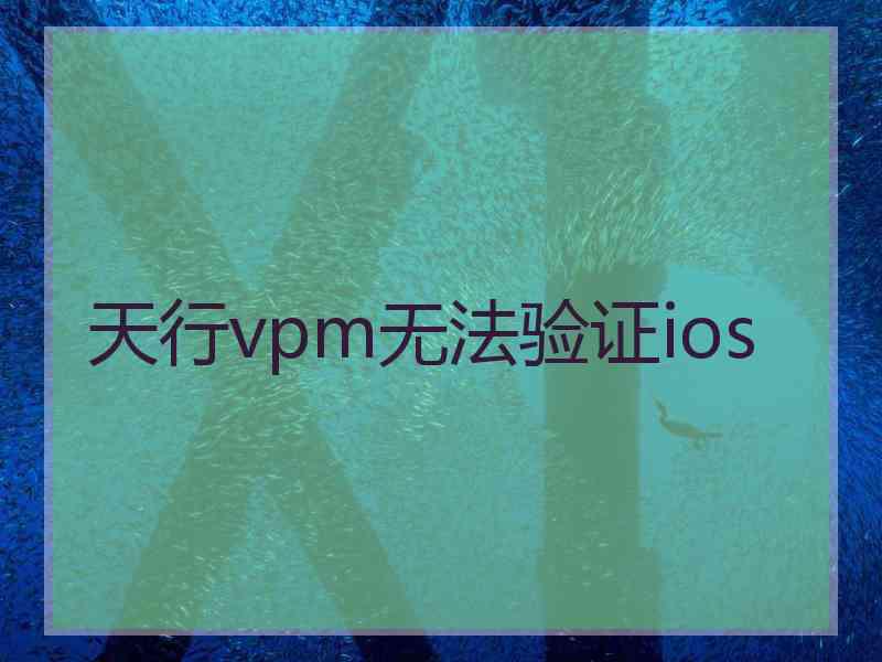 天行vpm无法验证ios