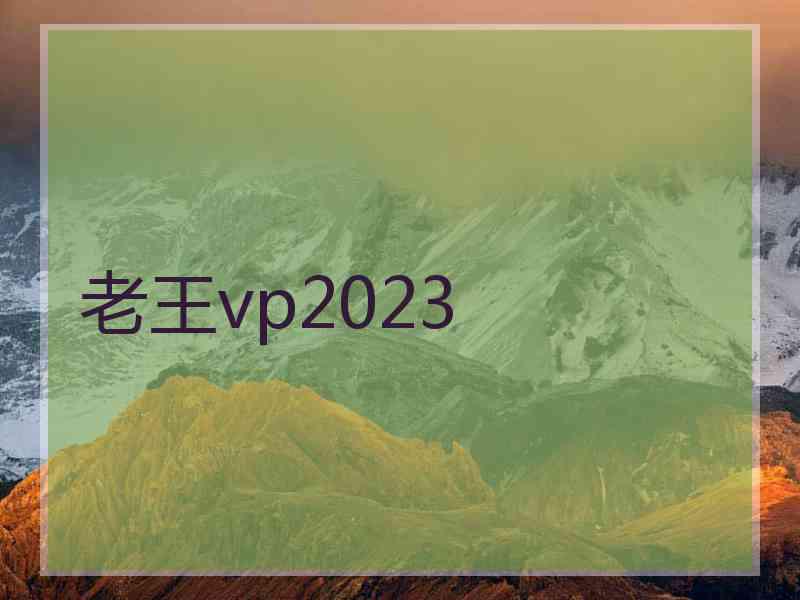 老王vp2023