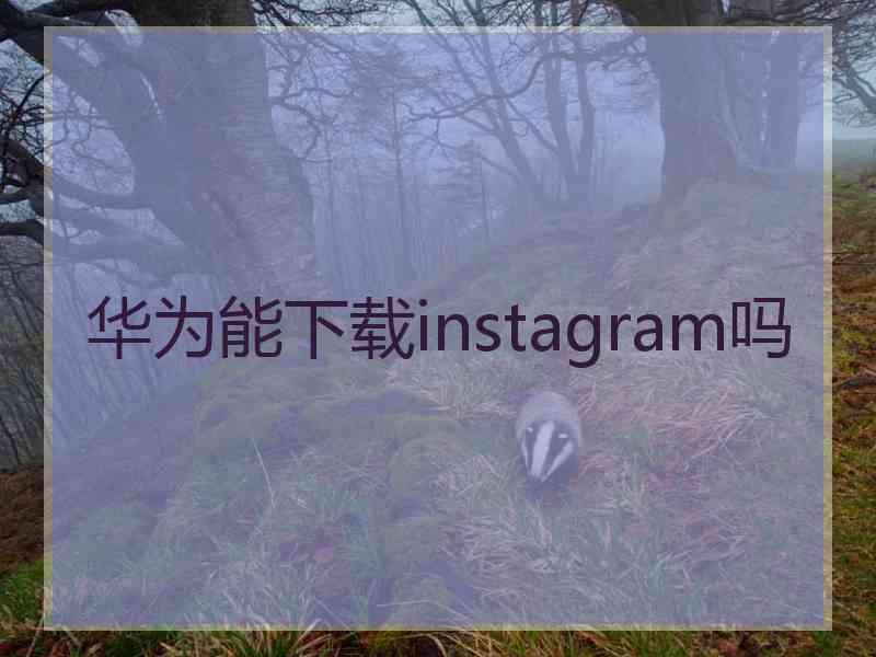 华为能下载instagram吗