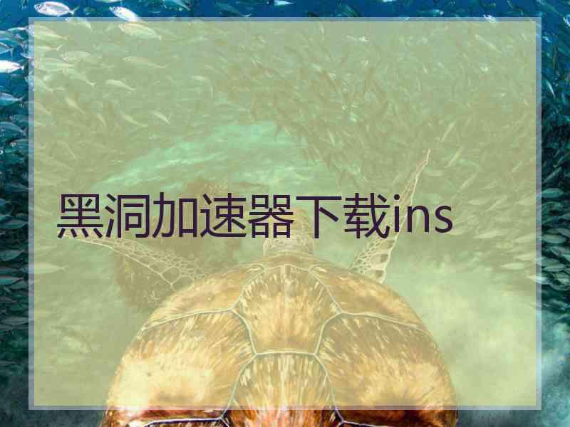 黑洞加速器下载ins