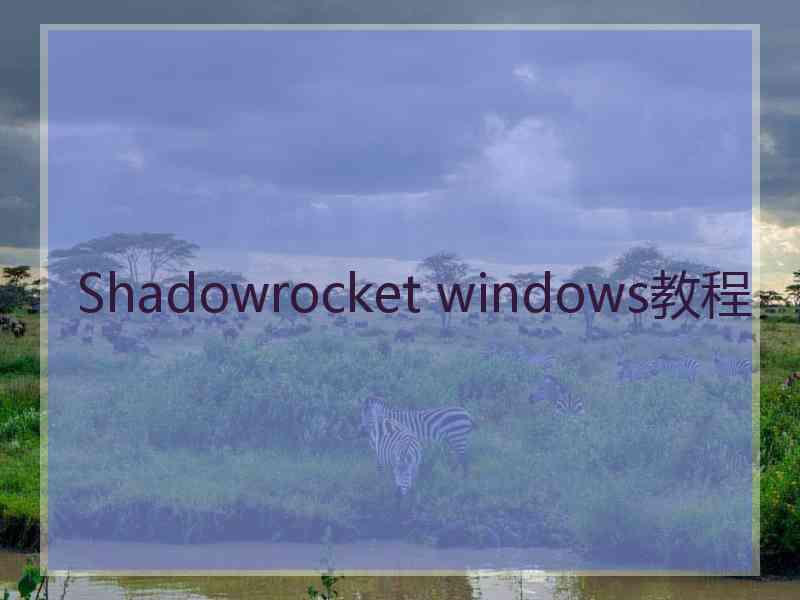 Shadowrocket windows教程