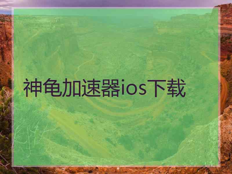 神龟加速器ios下载