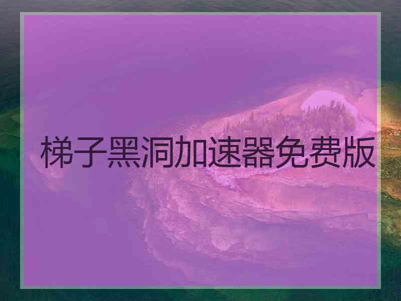 梯子黑洞加速器免费版