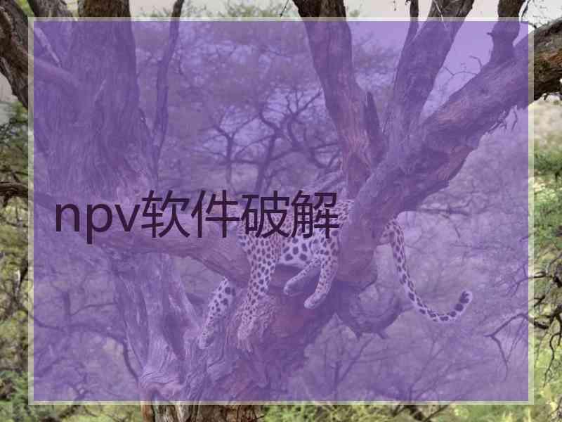 npv软件破解