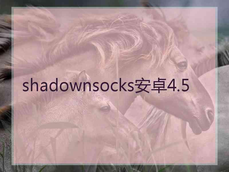 shadownsocks安卓4.5