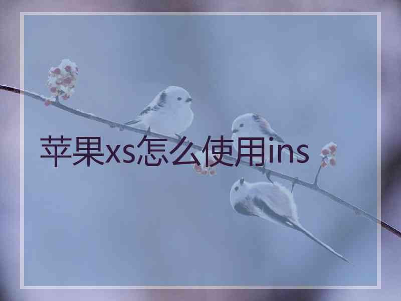 苹果xs怎么使用ins