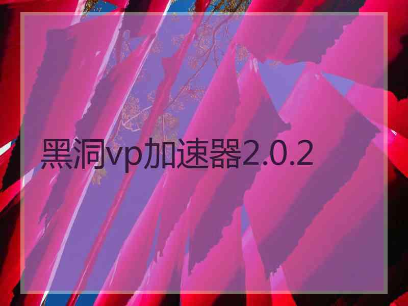 黑洞vp加速器2.0.2