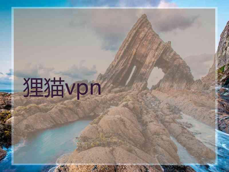 狸猫vpn