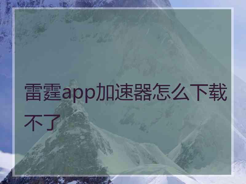 雷霆app加速器怎么下载不了