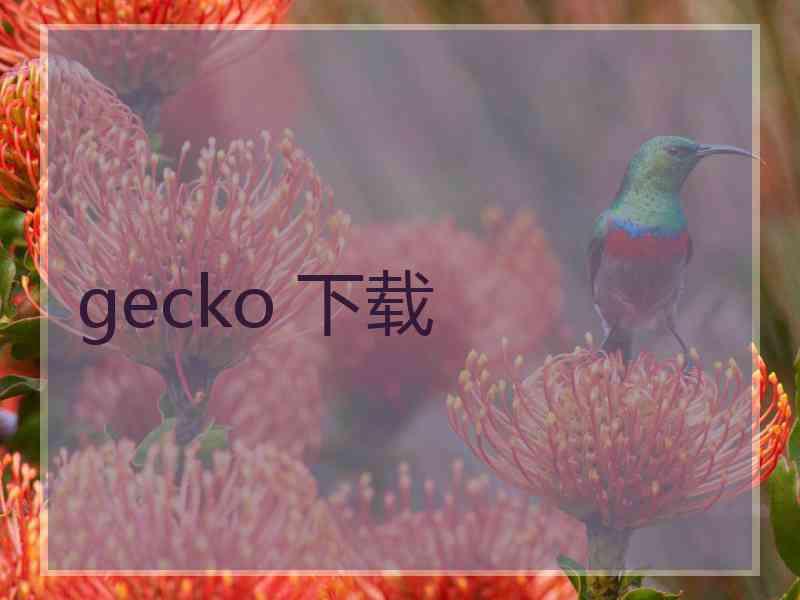 gecko 下载