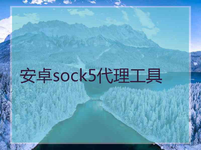 安卓sock5代理工具