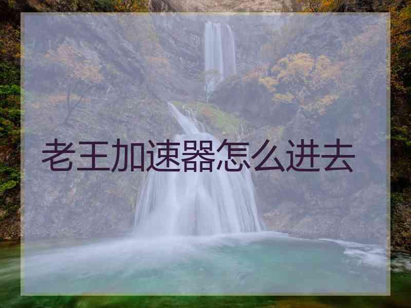 老王加速器怎么进去