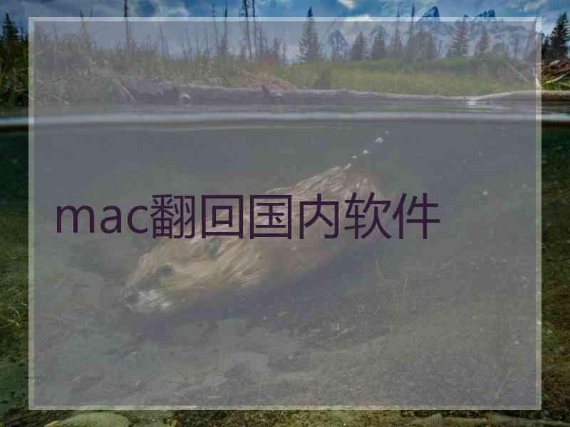 mac翻回国内软件