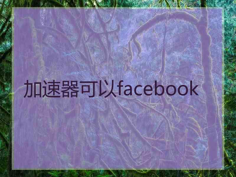 加速器可以facebook