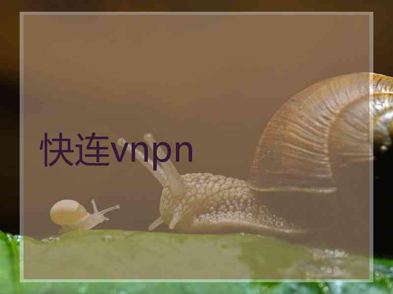 快连vnpn