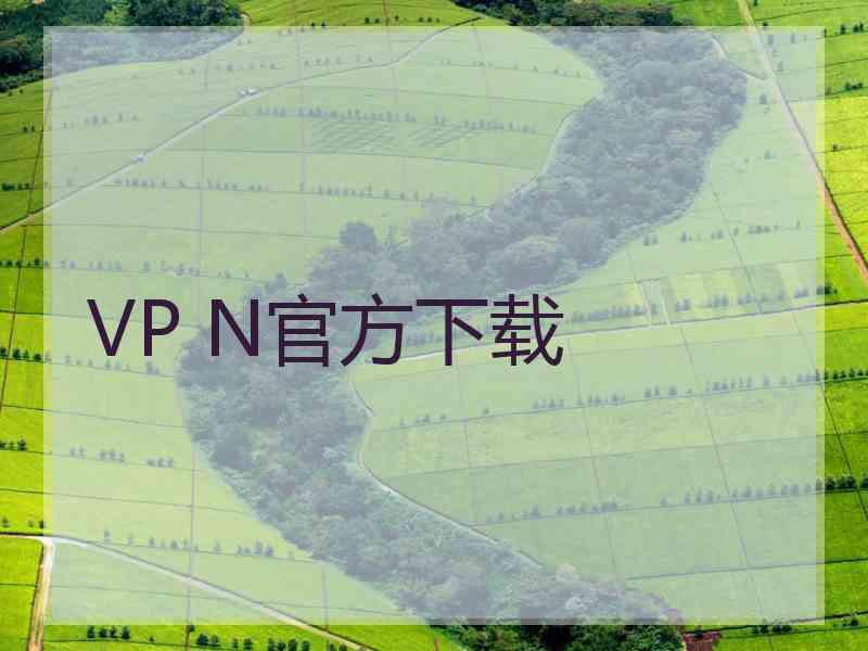 VP N官方下载