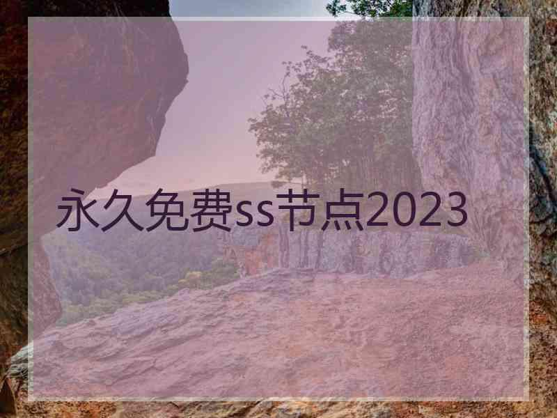 永久免费ss节点2023