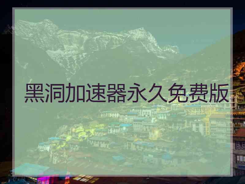 黑洞加速器永久免费版