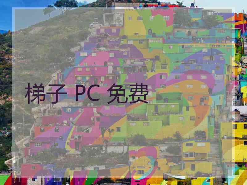 梯子 PC 免费