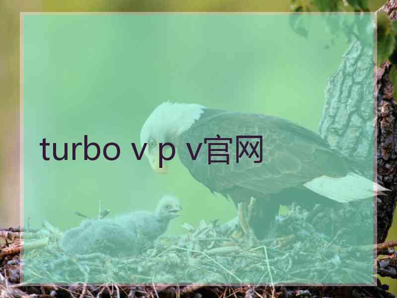 turbo v p v官网