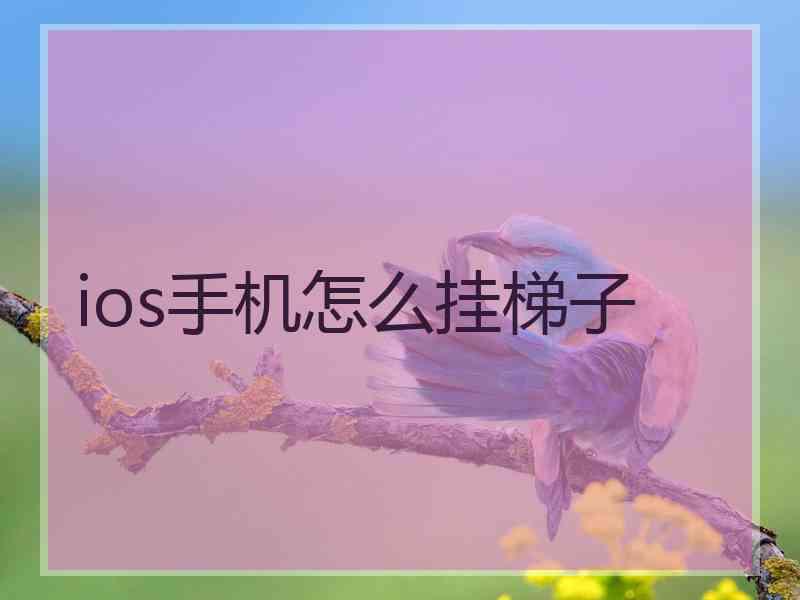 ios手机怎么挂梯子