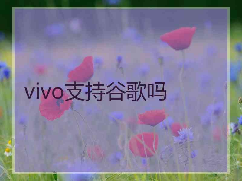 vivo支持谷歌吗