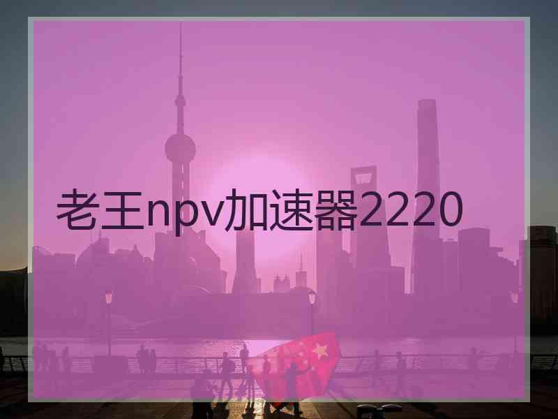 老王npv加速器2220