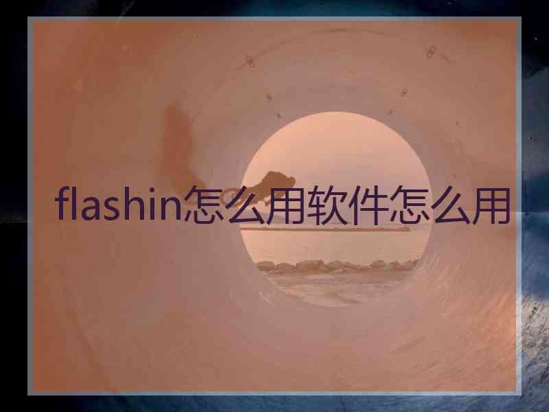 flashin怎么用软件怎么用